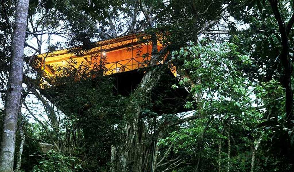 印度7大树屋度假村