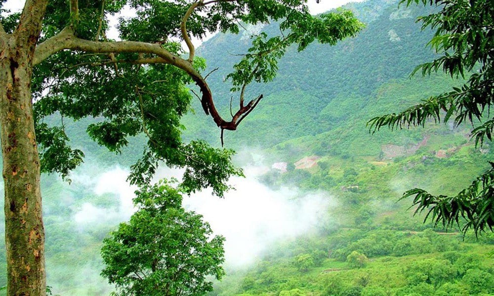 印度南部的山地站